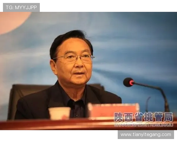 张敏羽毛球生涯回顾与展望对话分享运动精神与成长故事