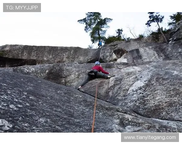 武汉极限运动队的团队协作与挑战精神探讨与实践分享