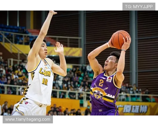 赛后分析：北京篮球队与南京篮球队在比赛中的战术灵活性对比探讨