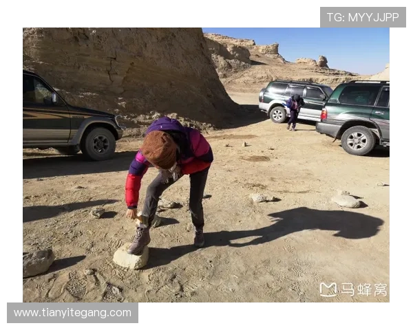 重庆攀岩队的深度探索与战术布局揭秘之旅