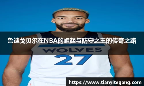 ng体育官网
