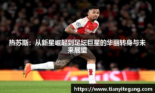 ng体育官网